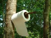 Какой должна быть туалетная бумага?