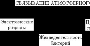 Доклад: Биогеохимические круговороты основных химических элементов