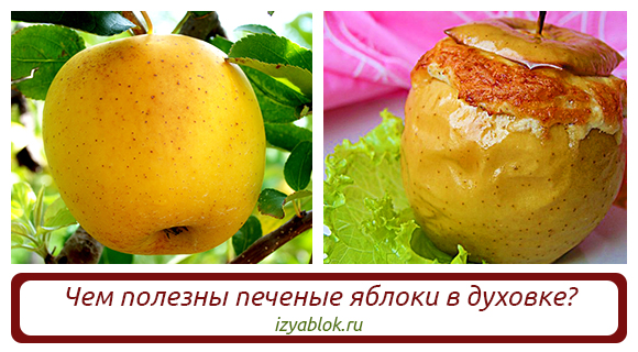 Чем полезно запеченное яблоко. Чем полезны печёные яблоки для организма. Что полезного в запеченном яблоке. Польза яблок. Что полезного в запеченном яблоке.